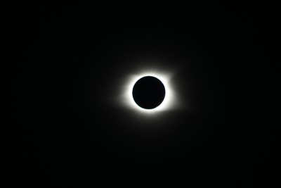 IMG_8515.JPG (2.36 MiB) Viewed 7667 times IMG_8515.JPG