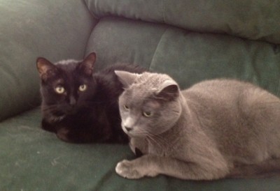 Boys on couch4.JPG
