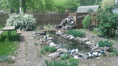 IMG_20140511_150015_431.jpg (1.74 MiB) Viewed 6315 times IMG_20140511_150015_431.jpg